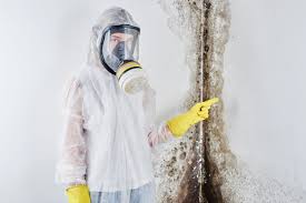 Best Mold Remediation for Healthcare Facilities  in Trainer, PA